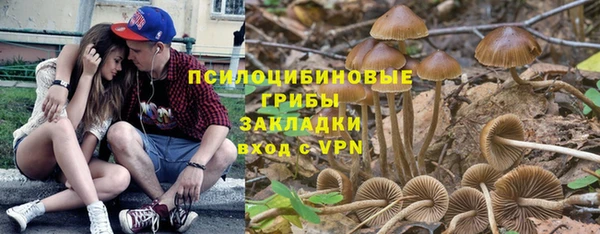 твердый Верея