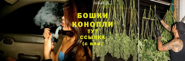 твердый Верея