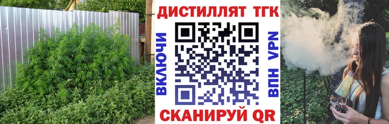 Купить где  Пучеж  Дистиллят ТГК THC oil 