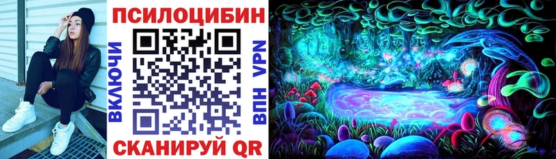 Галлюциногенные грибы ЛСД  Купить закладки  Пучеж 